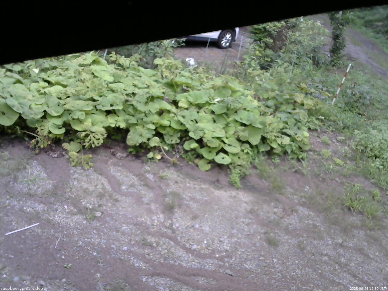 長野県菅平高原 ゆたか山荘 駐車場 2025/08/24 12:30