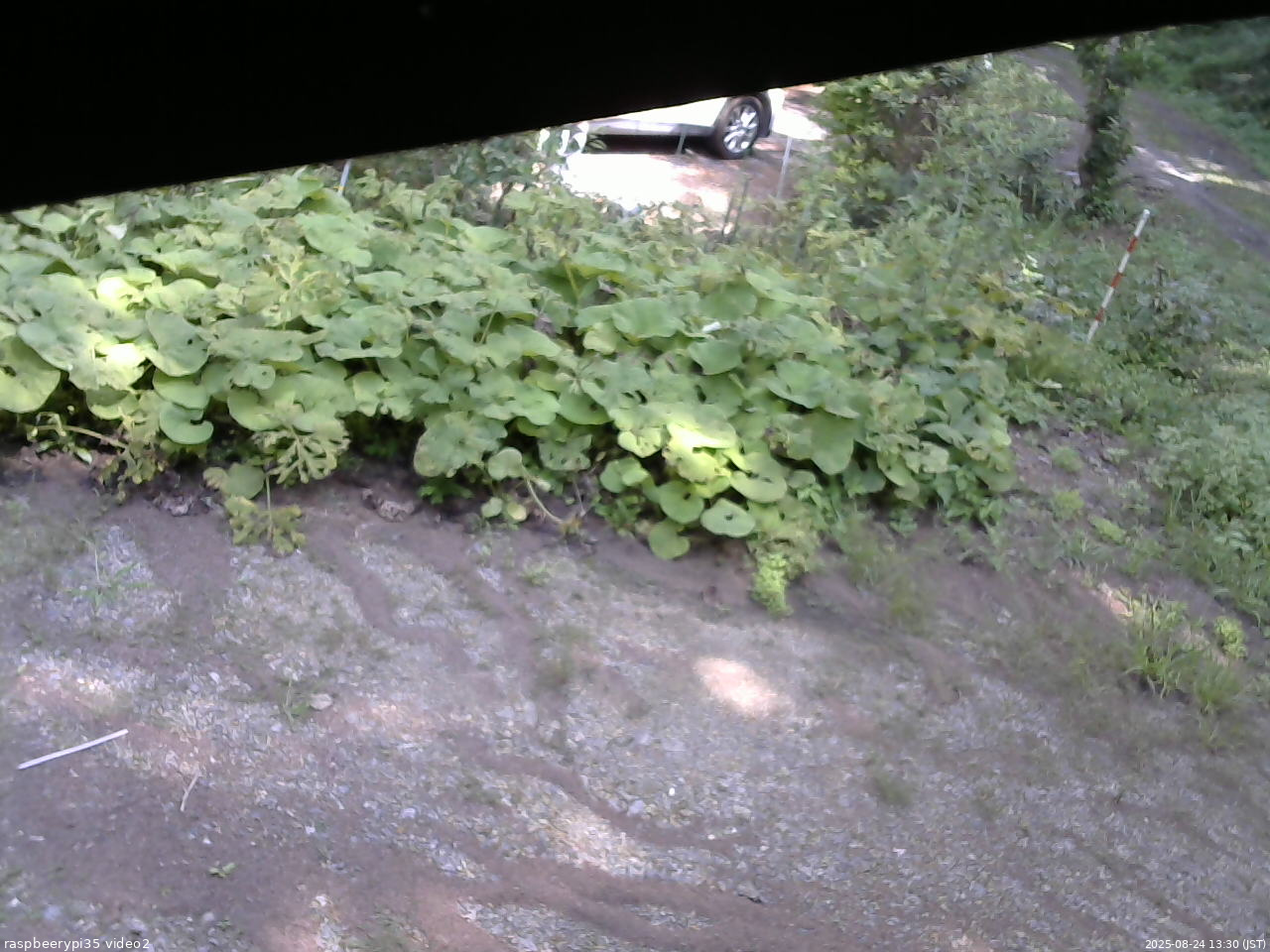 長野県菅平高原 ゆたか山荘 駐車場 2025/08/24 13:30