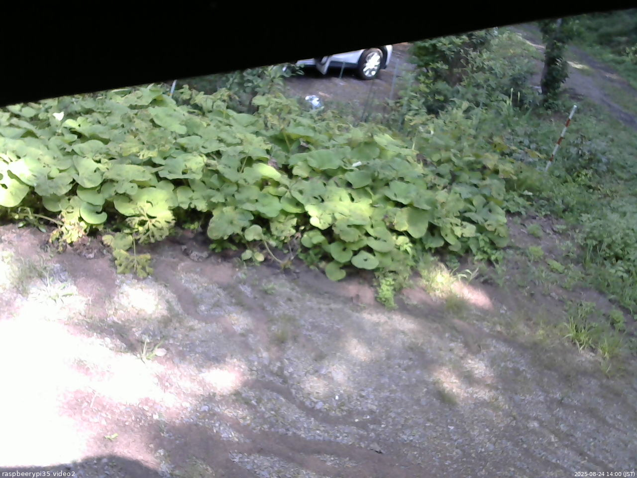 長野県菅平高原 ゆたか山荘 駐車場 2025/08/24 14:00