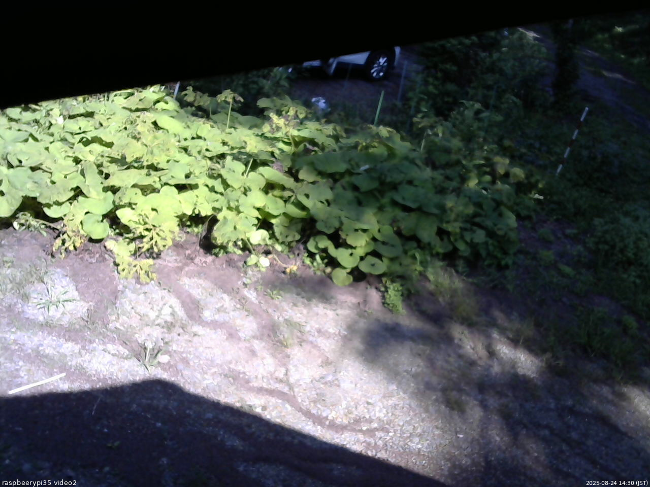 長野県菅平高原 ゆたか山荘 駐車場 2025/08/24 14:30