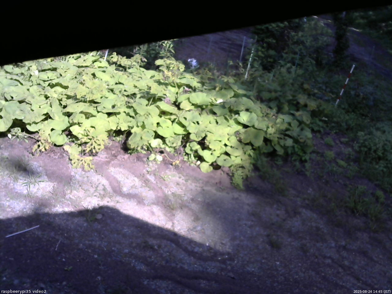長野県菅平高原 ゆたか山荘 駐車場 2025/08/24 14:45
