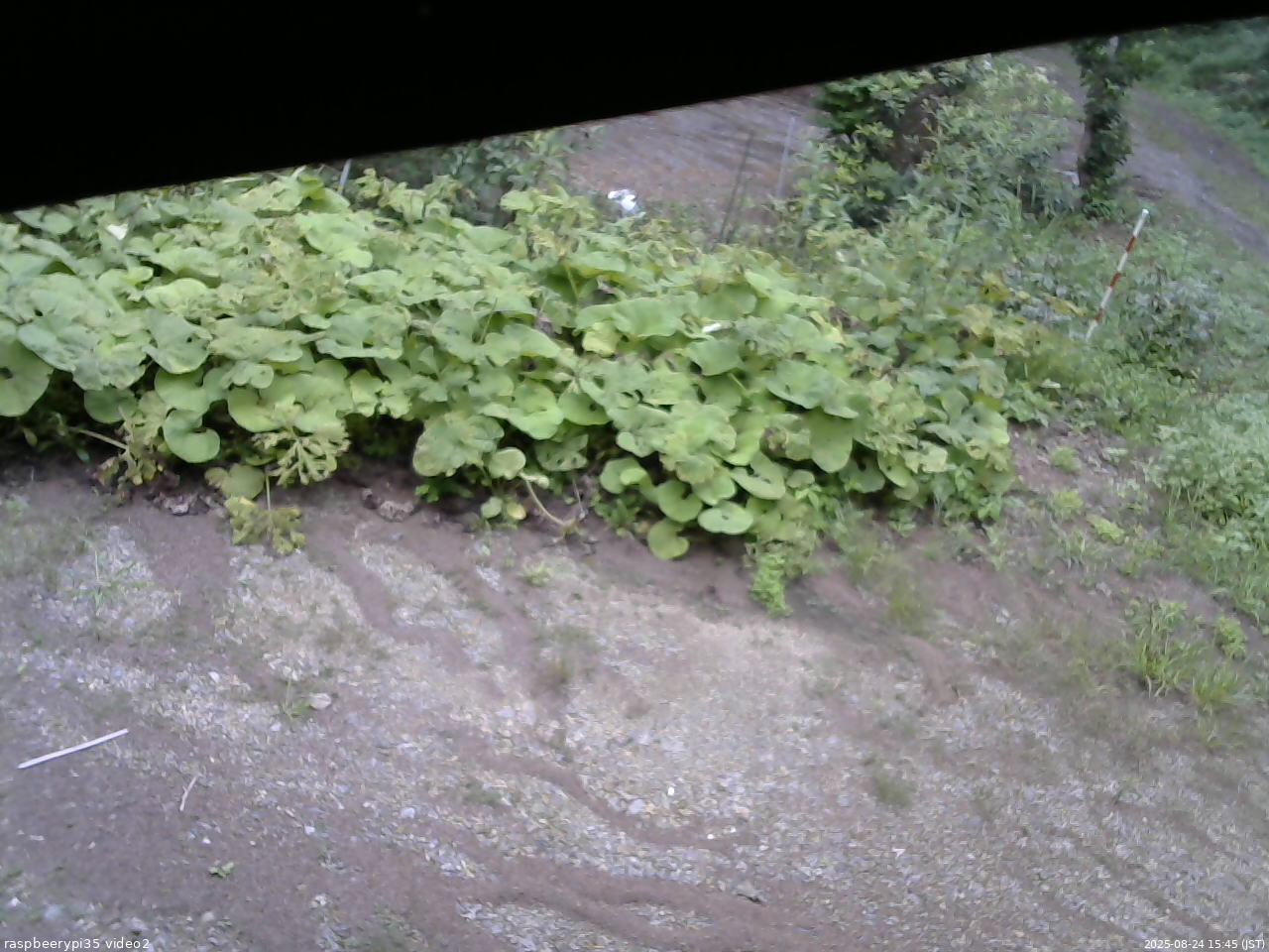 長野県菅平高原 ゆたか山荘 駐車場 2025/08/24 15:45