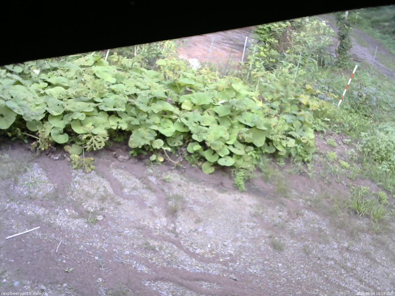 長野県菅平高原 ゆたか山荘 駐車場 2025/08/24 16:15
