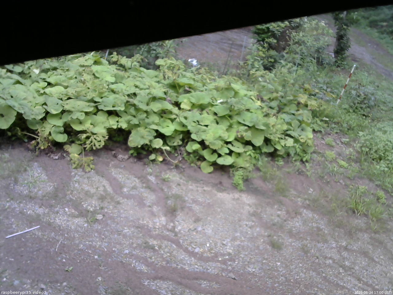 長野県菅平高原 ゆたか山荘 駐車場 2025/08/24 17:00