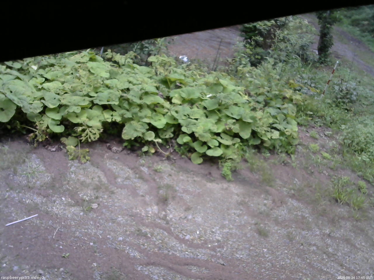 長野県菅平高原 ゆたか山荘 駐車場 2025/08/24 17:45
