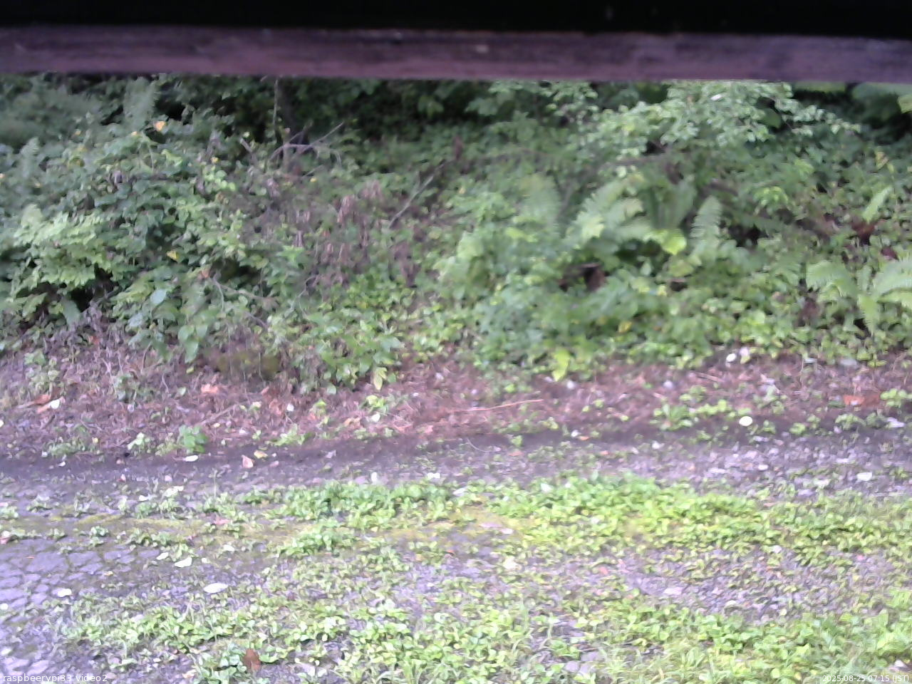 長野県菅平高原 ゆたか山荘 南側 2025/08/25 07:15