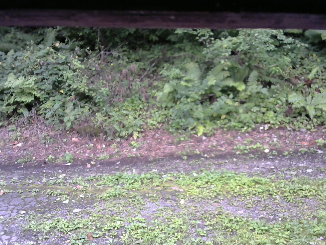 長野県菅平高原 ゆたか山荘 南側 2025/08/25 08:15
