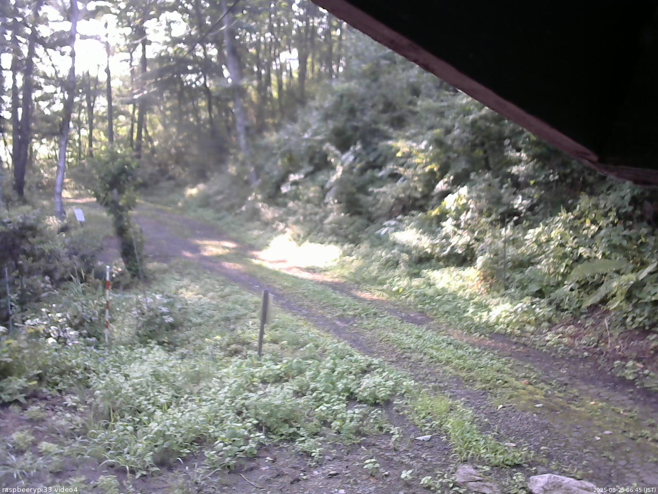 長野県菅平高原 ゆたか山荘 東側(坂下) 2025/08/25 06:45