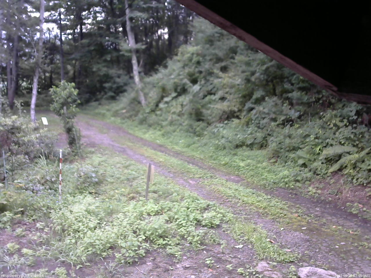 長野県菅平高原 ゆたか山荘 東側(坂下) 2025/08/25 07:45