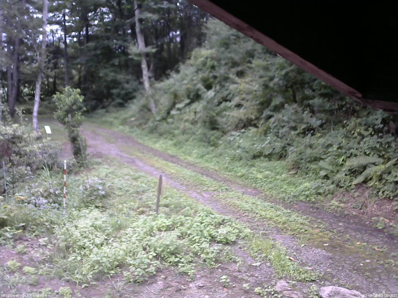 長野県菅平高原 ゆたか山荘 東側(坂下) 2025/08/25 09:00