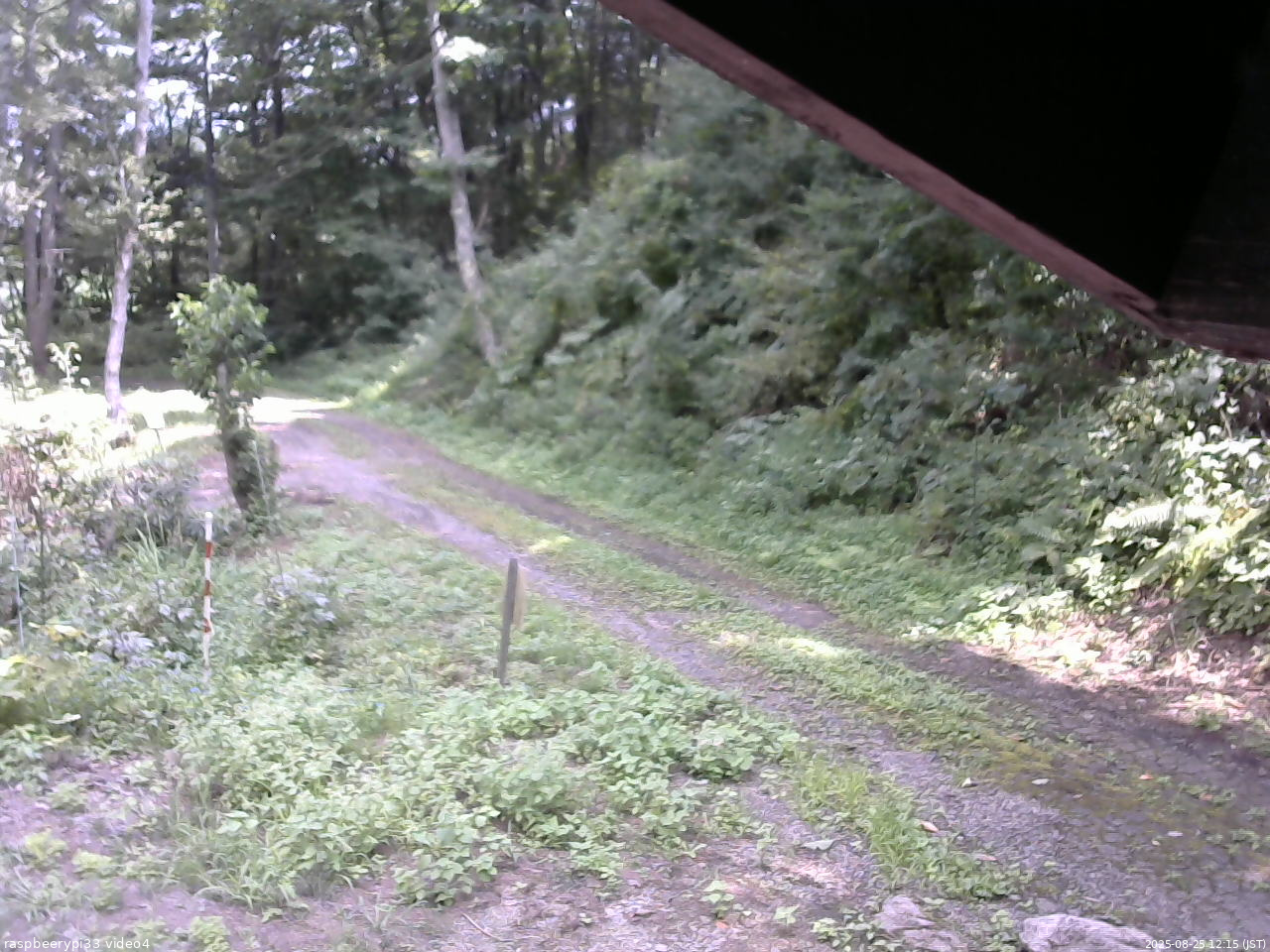 長野県菅平高原 ゆたか山荘 東側(坂下) 2025/08/25 12:15