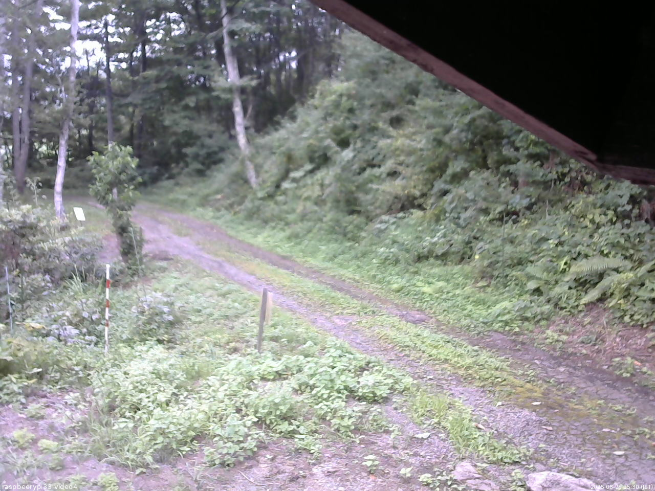 長野県菅平高原 ゆたか山荘 東側(坂下) 2025/08/25 15:30