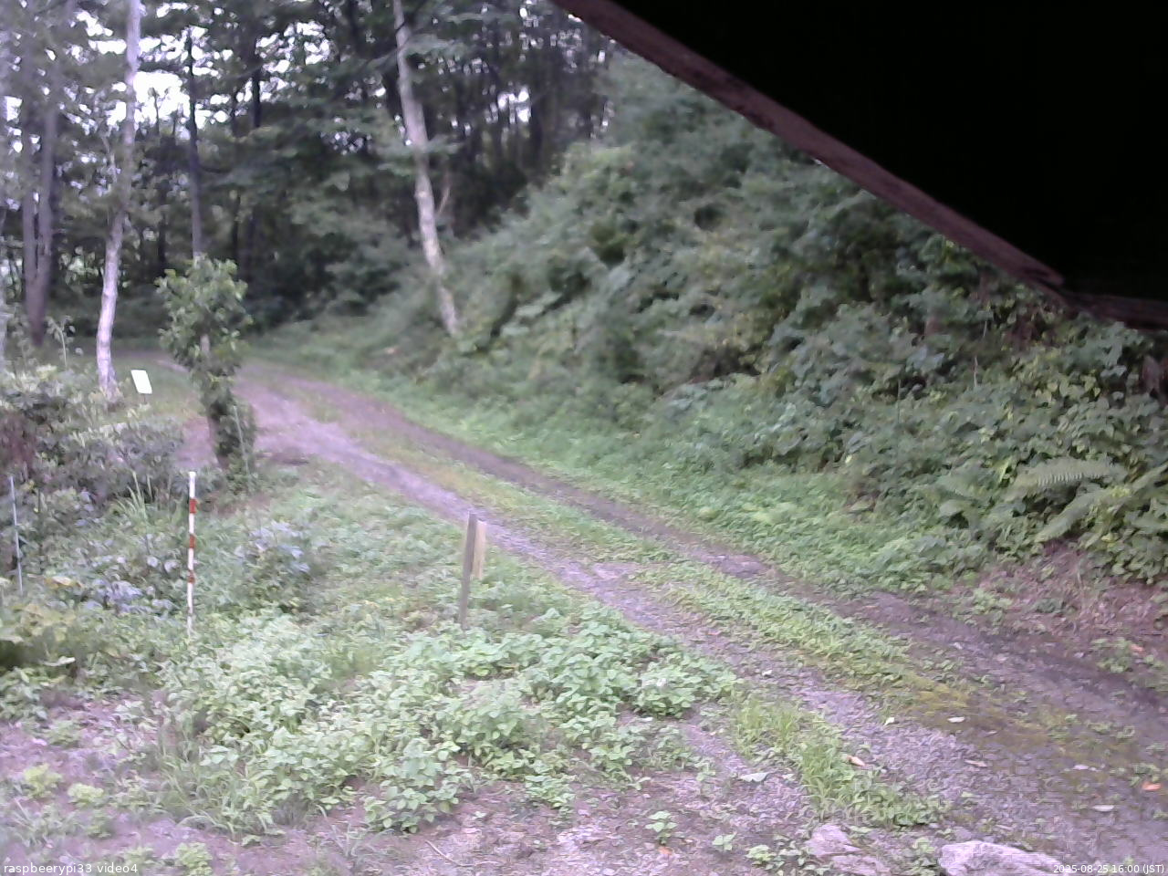 長野県菅平高原 ゆたか山荘 東側(坂下) 2025/08/25 16:00