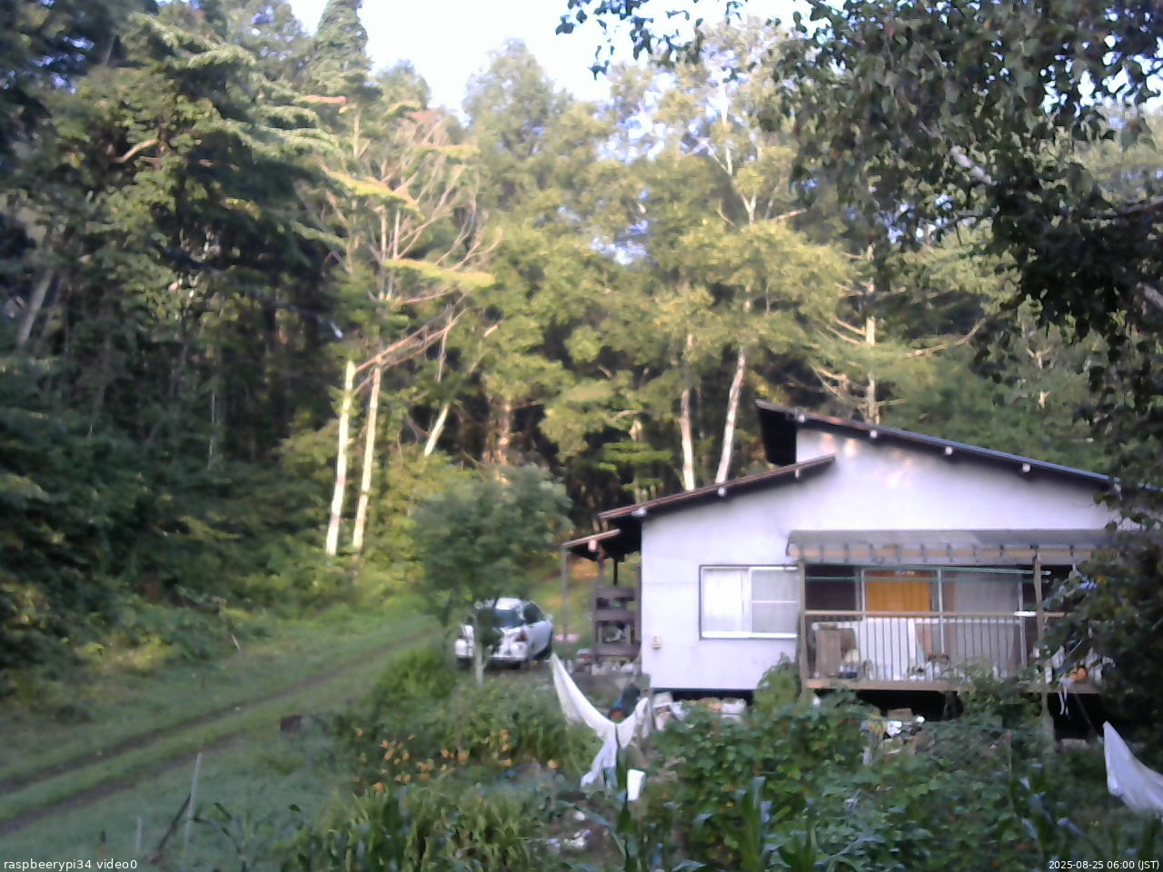 長野県菅平高原 ゆたか山荘 西側(坂上) 2025/08/25 06:00