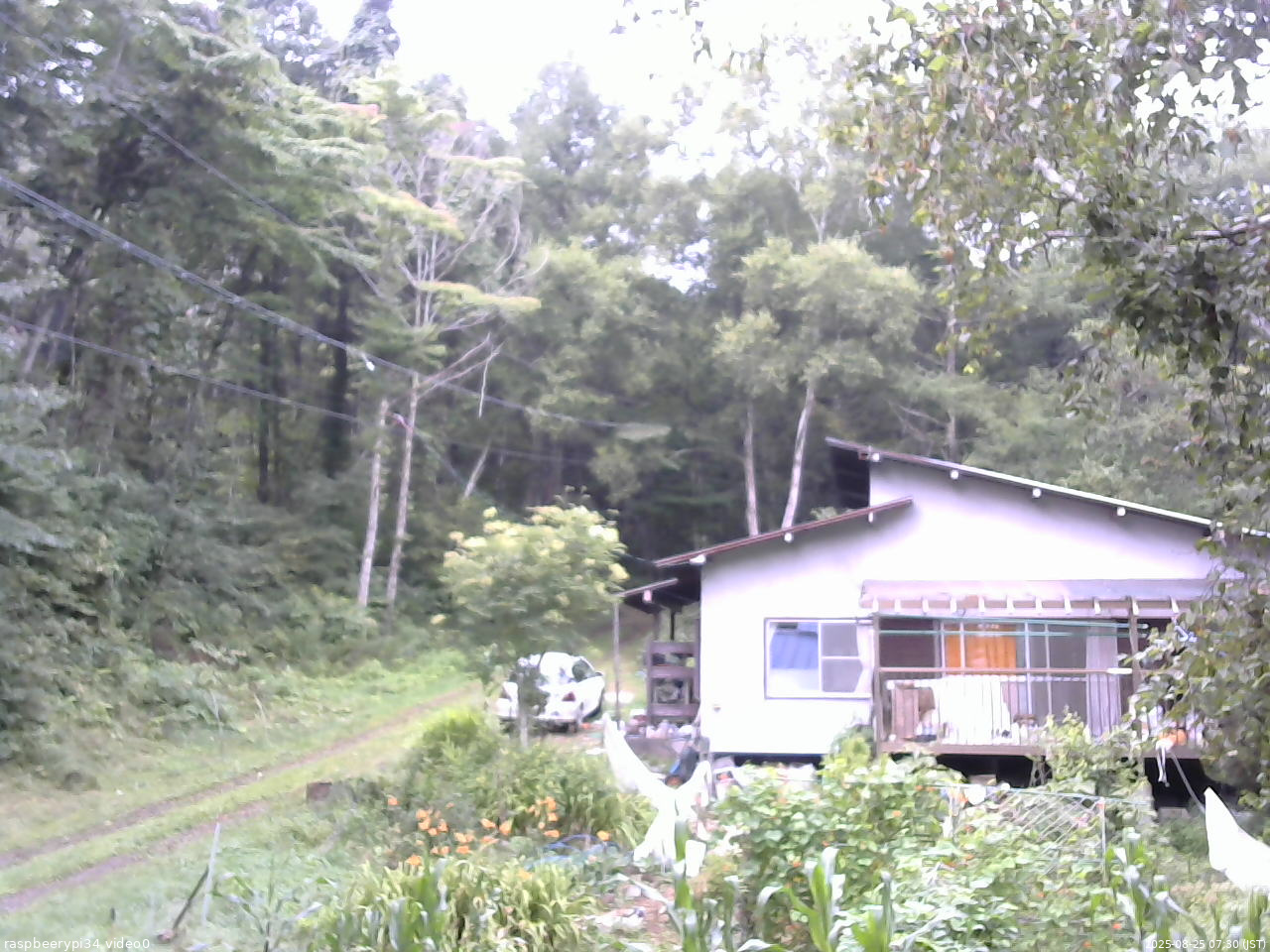 長野県菅平高原 ゆたか山荘 西側(坂上) 2025/08/25 07:30