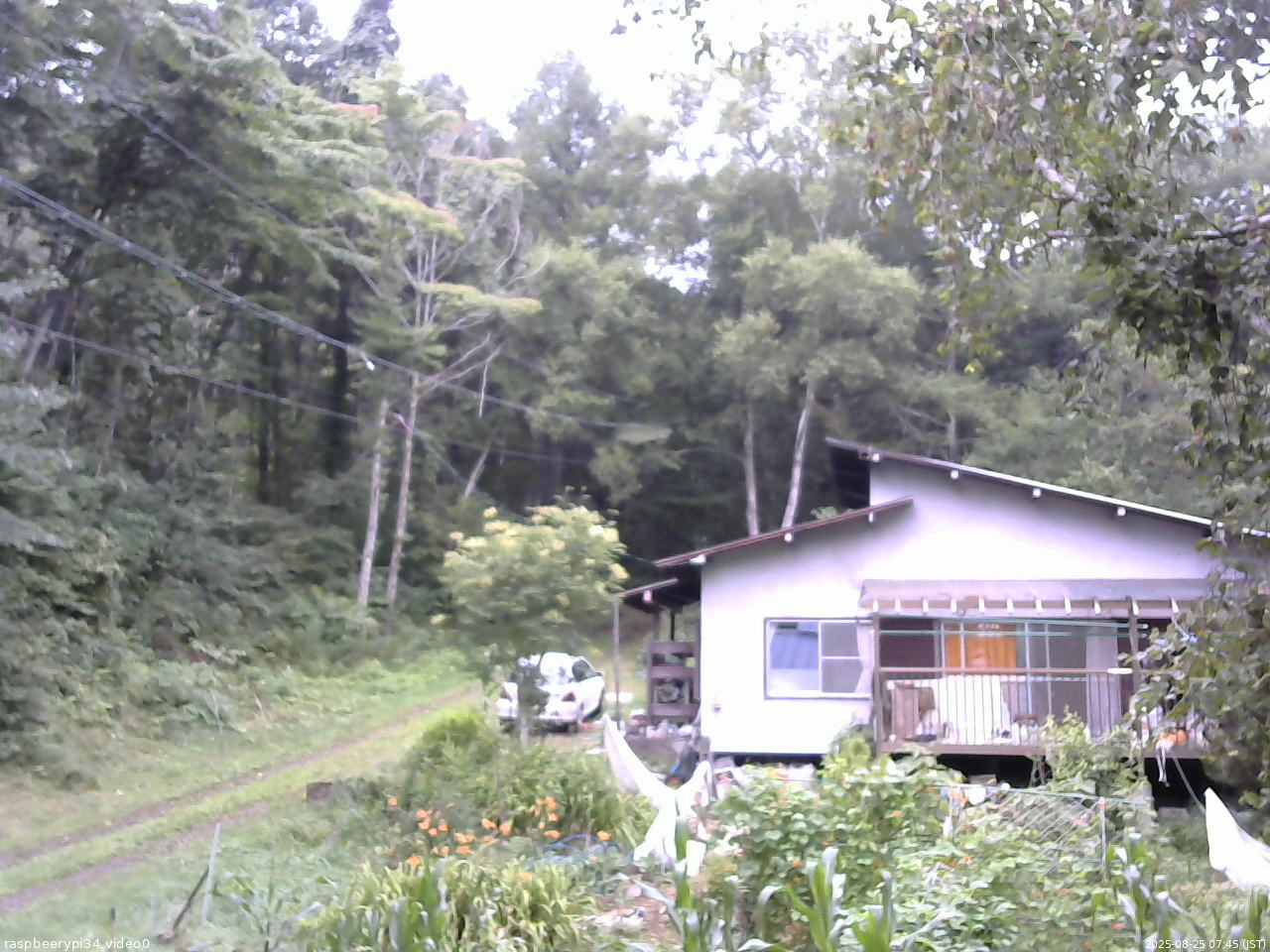 長野県菅平高原 ゆたか山荘 西側(坂上) 2025/08/25 07:45