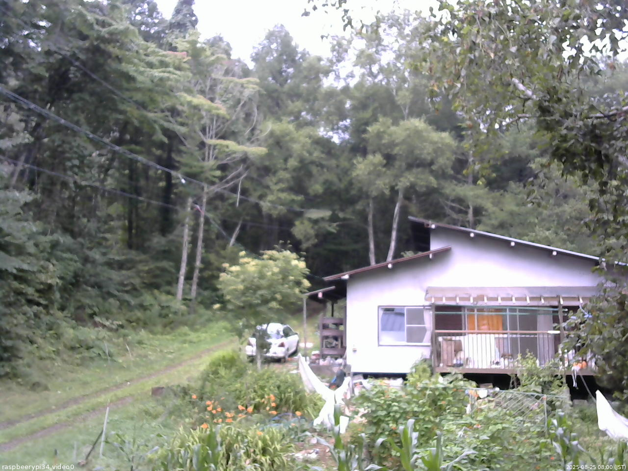 長野県菅平高原 ゆたか山荘 西側(坂上) 2025/08/25 08:00