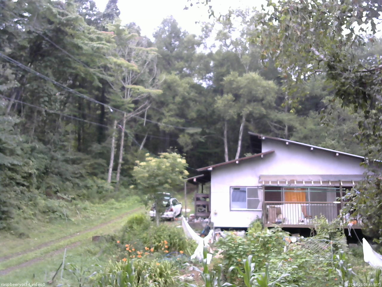 長野県菅平高原 ゆたか山荘 西側(坂上) 2025/08/25 08:45