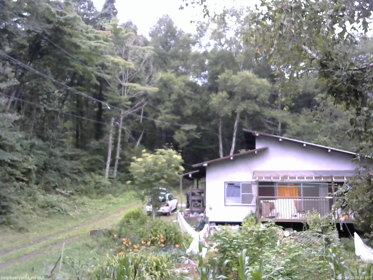 長野県菅平高原 ゆたか山荘 西側(坂上) 2025/08/25 09:00