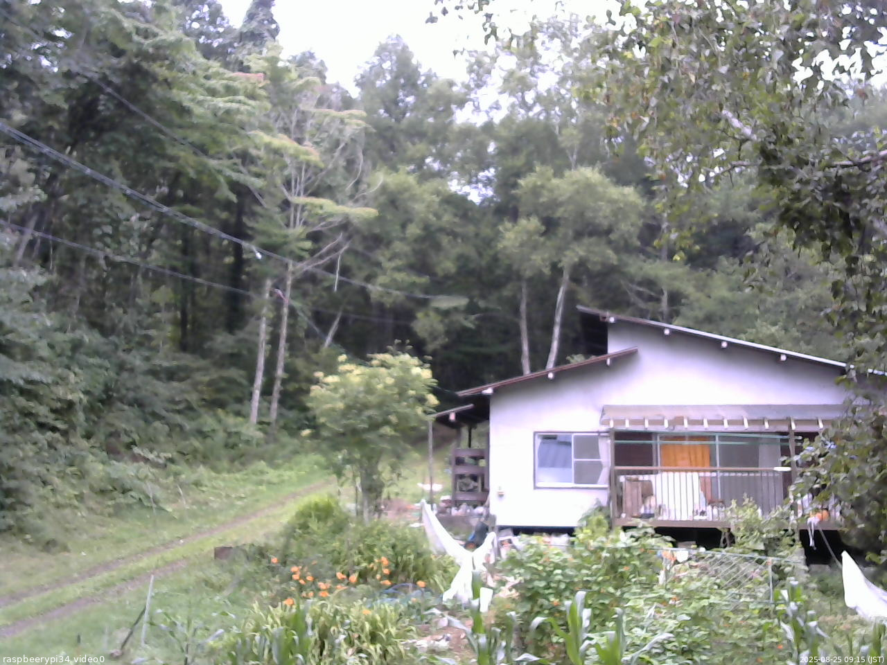 長野県菅平高原 ゆたか山荘 西側(坂上) 2025/08/25 09:15