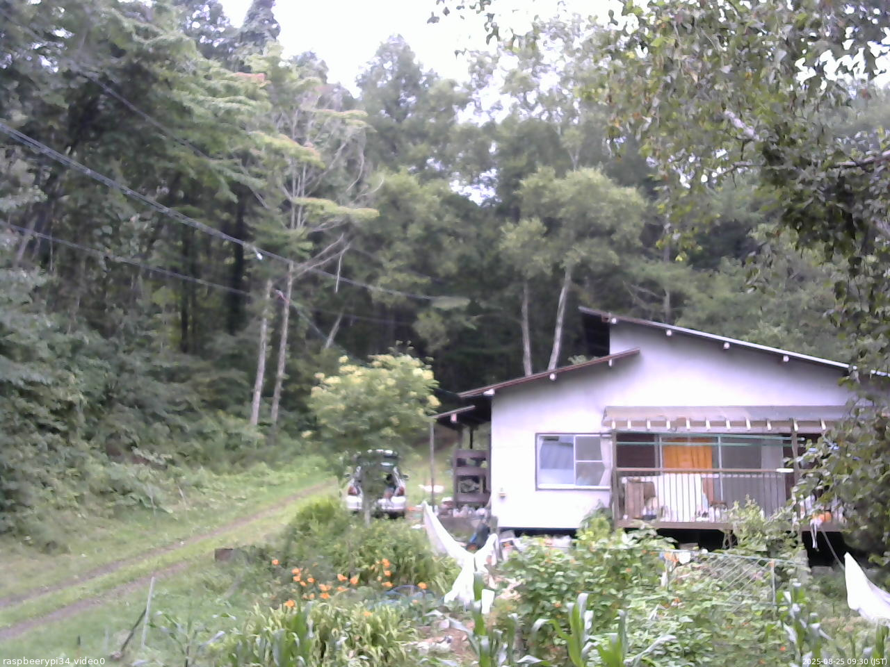 長野県菅平高原 ゆたか山荘 西側(坂上) 2025/08/25 09:30