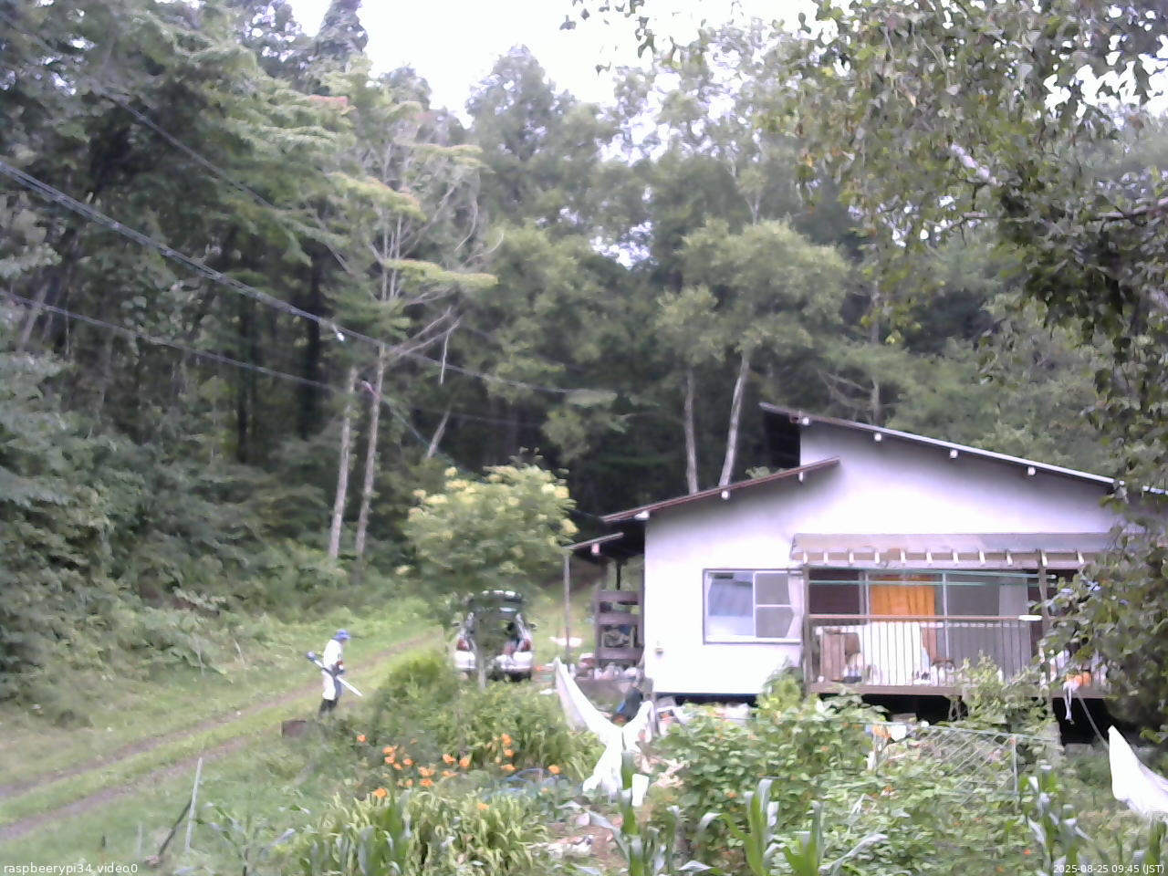 長野県菅平高原 ゆたか山荘 西側(坂上) 2025/08/25 09:45