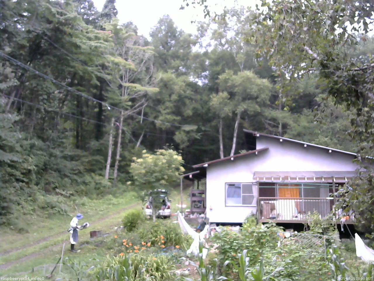 長野県菅平高原 ゆたか山荘 西側(坂上) 2025/08/25 10:00