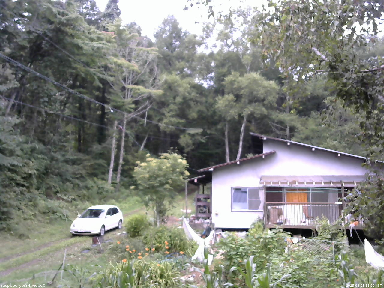 長野県菅平高原 ゆたか山荘 西側(坂上) 2025/08/25 11:00
