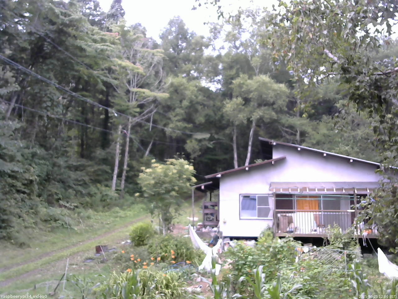長野県菅平高原 ゆたか山荘 西側(坂上) 2025/08/25 12:00