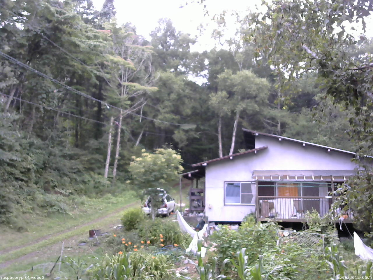 長野県菅平高原 ゆたか山荘 西側(坂上) 2025/08/25 13:45