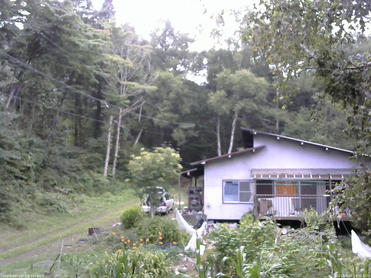 長野県菅平高原 ゆたか山荘 西側(坂上) 2025/08/25 14:30