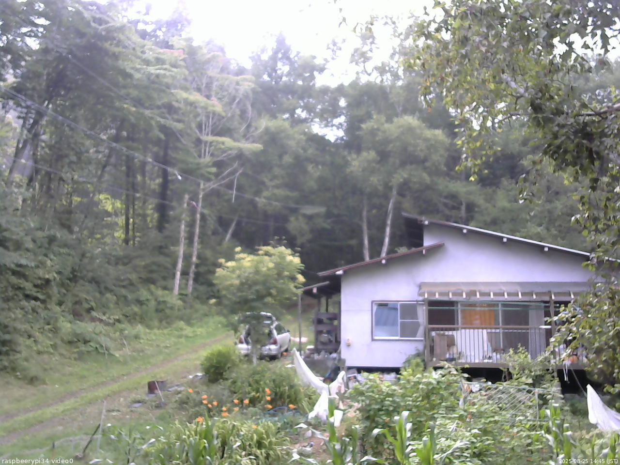 長野県菅平高原 ゆたか山荘 西側(坂上) 2025/08/25 14:45