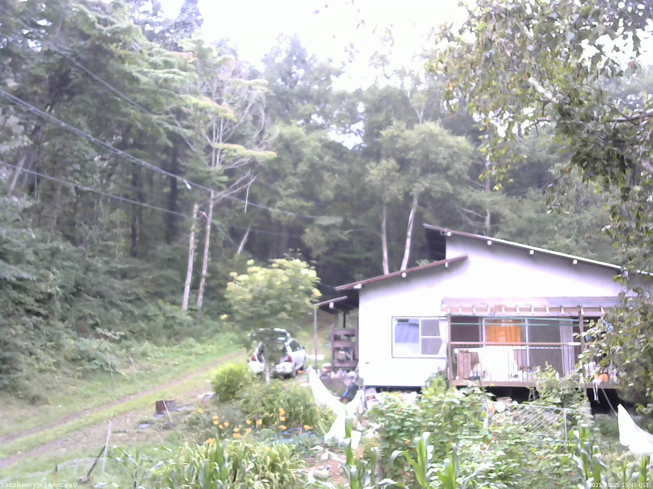長野県菅平高原 ゆたか山荘 西側(坂上) 2025/08/25 15:45