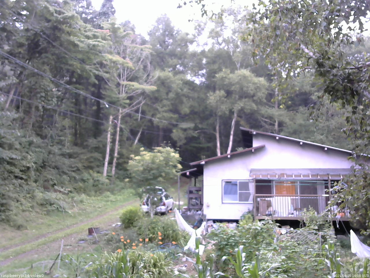 長野県菅平高原 ゆたか山荘 西側(坂上) 2025/08/25 16:00