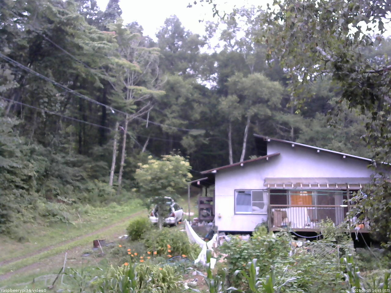長野県菅平高原 ゆたか山荘 西側(坂上) 2025/08/25 16:45