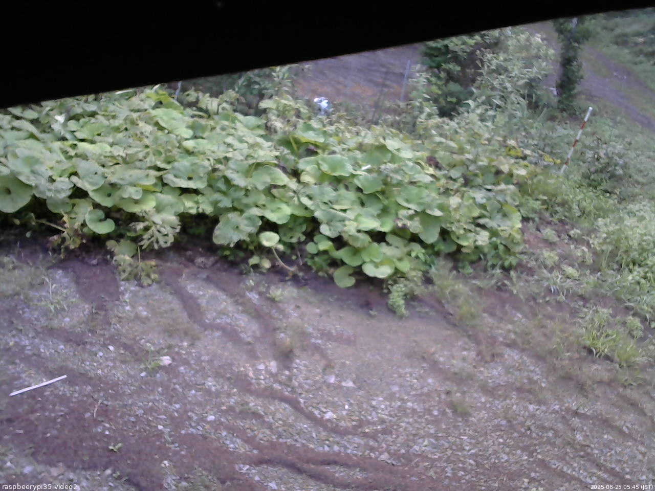 長野県菅平高原 ゆたか山荘 駐車場 2025/08/25 05:45