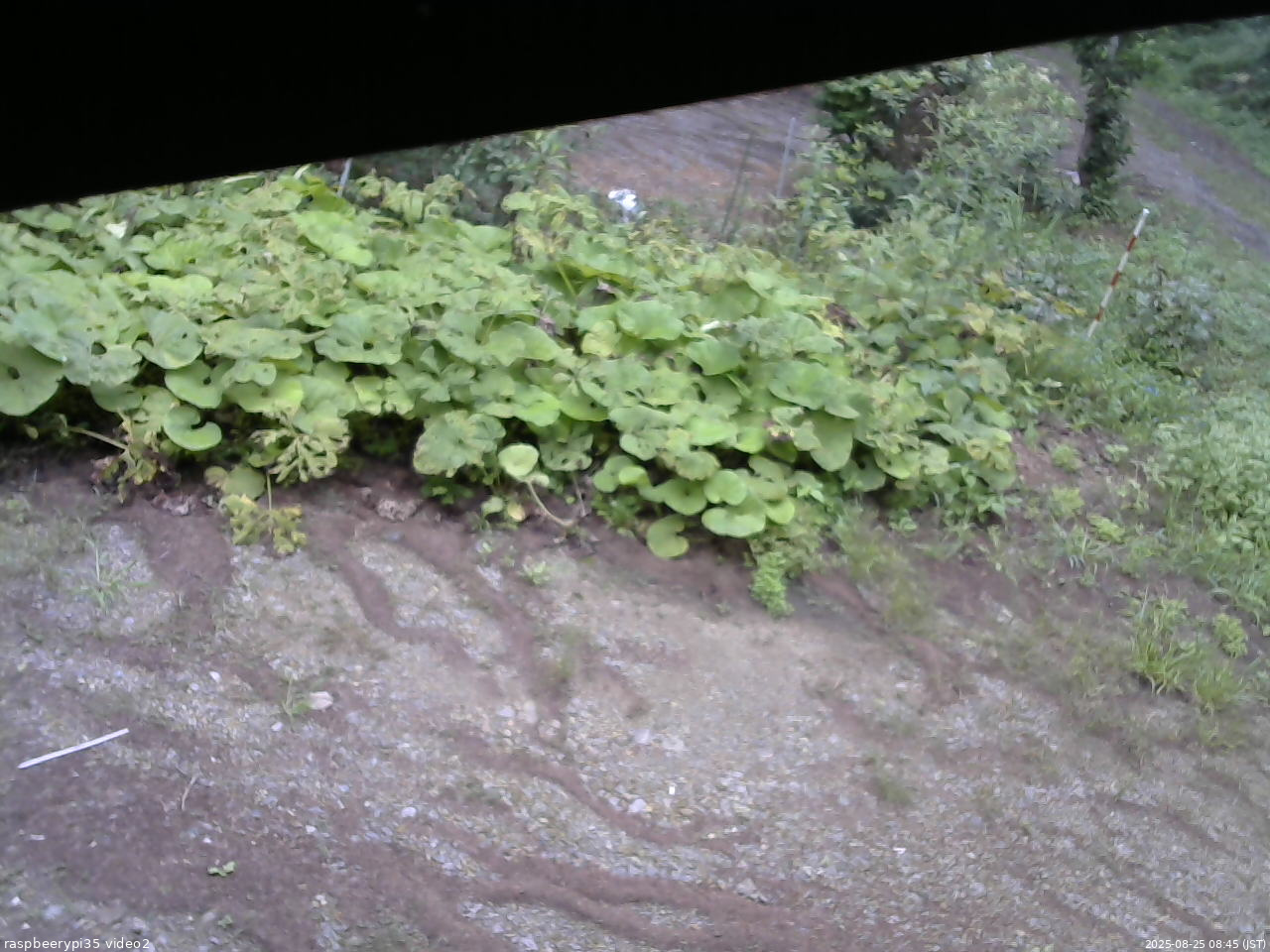長野県菅平高原 ゆたか山荘 駐車場 2025/08/25 08:45