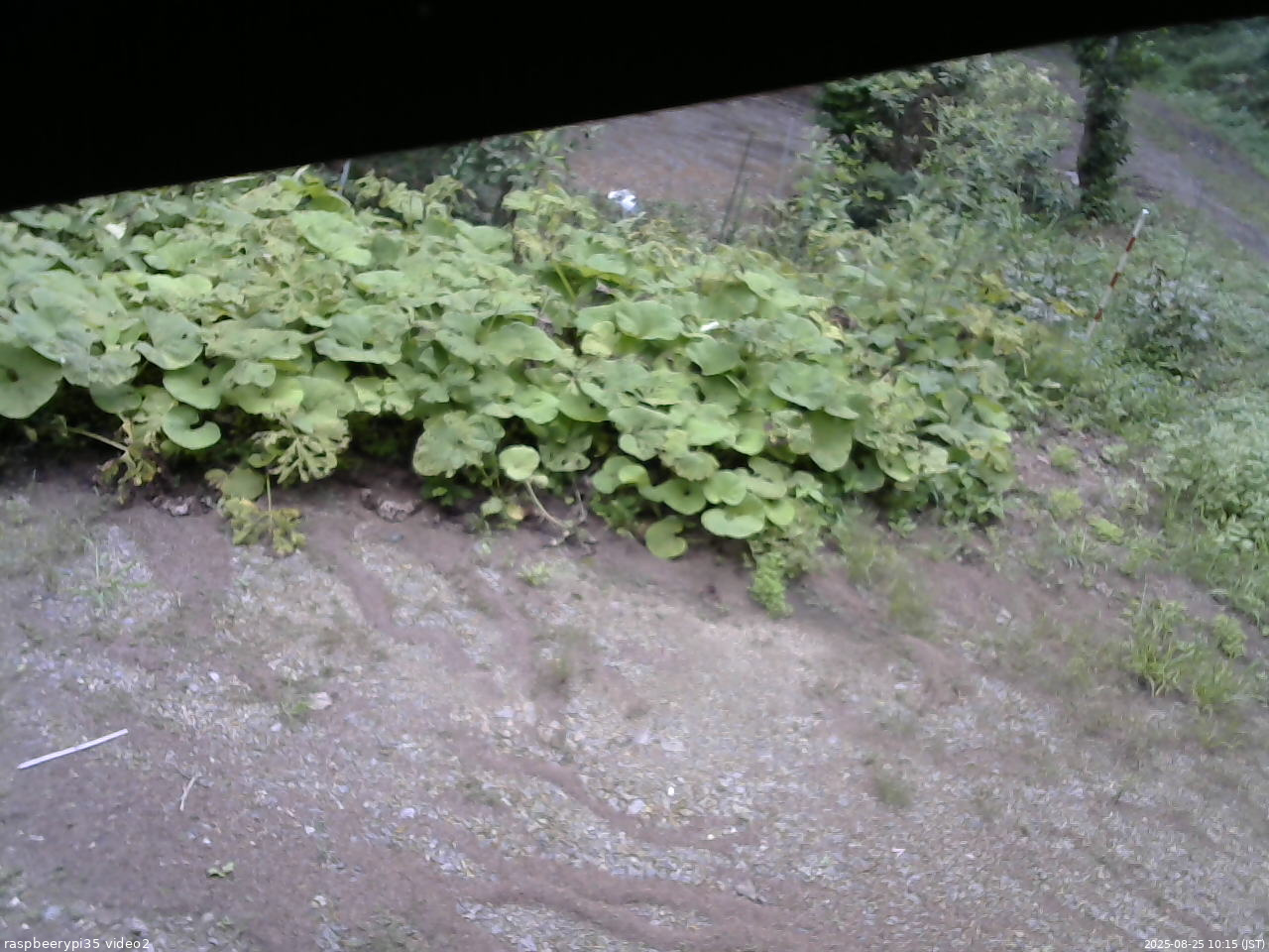 長野県菅平高原 ゆたか山荘 駐車場 2025/08/25 10:15
