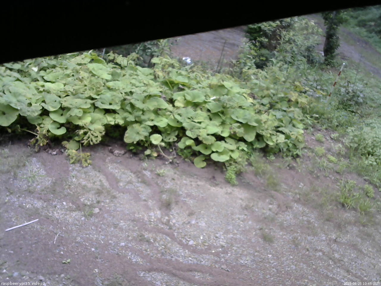 長野県菅平高原 ゆたか山荘 駐車場 2025/08/25 10:45