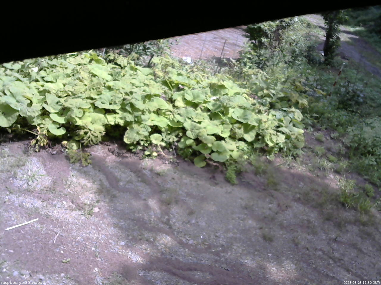 長野県菅平高原 ゆたか山荘 駐車場 2025/08/25 11:30
