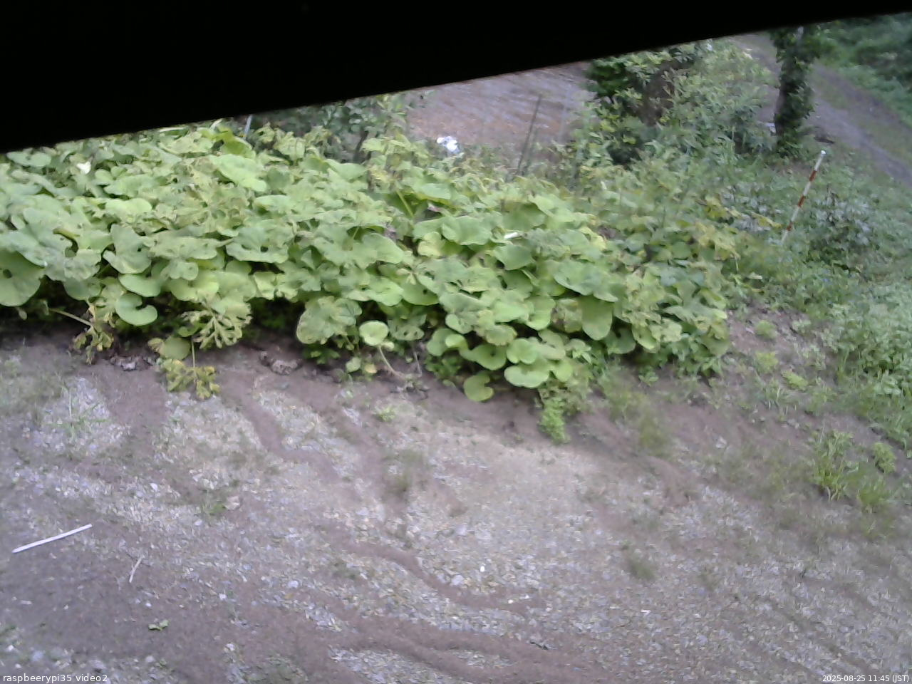 長野県菅平高原 ゆたか山荘 駐車場 2025/08/25 11:45