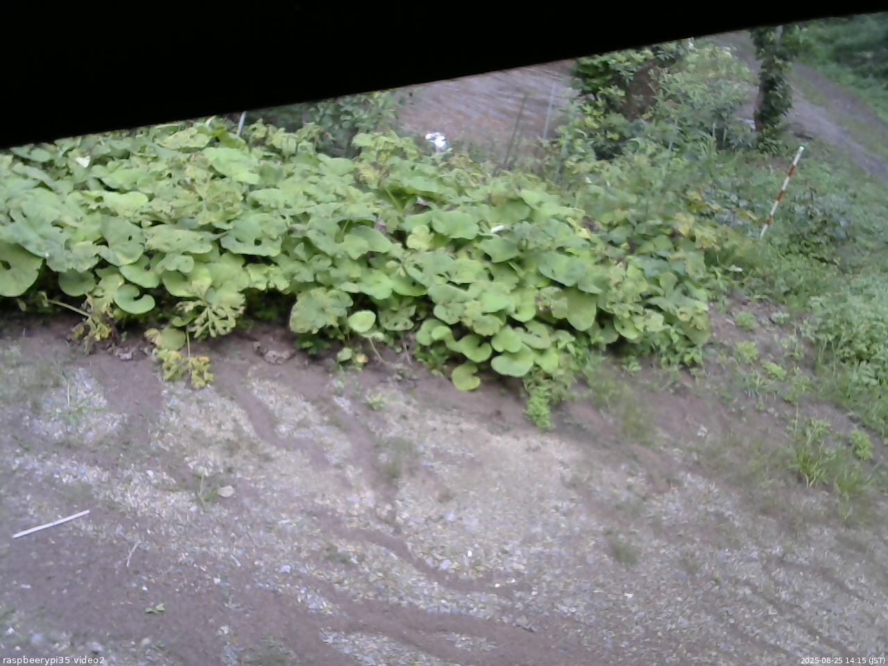 長野県菅平高原 ゆたか山荘 駐車場 2025/08/25 14:15