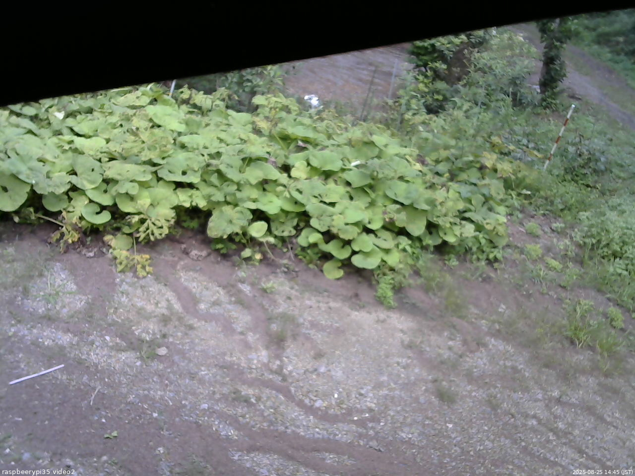 長野県菅平高原 ゆたか山荘 駐車場 2025/08/25 14:45