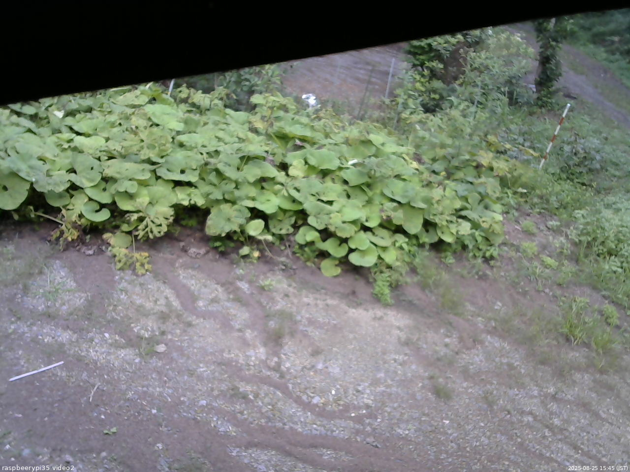 長野県菅平高原 ゆたか山荘 駐車場 2025/08/25 15:45
