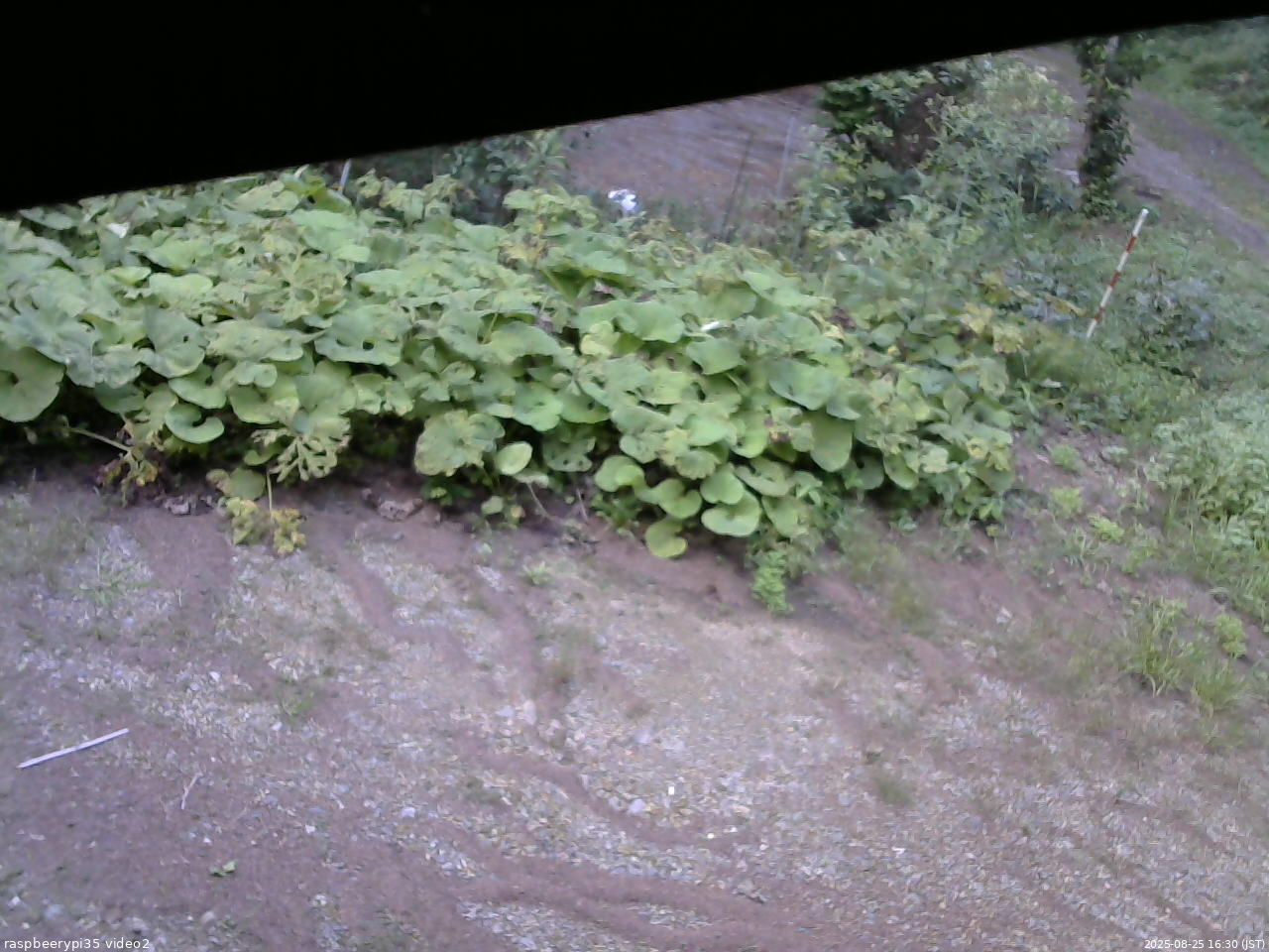 長野県菅平高原 ゆたか山荘 駐車場 2025/08/25 16:30