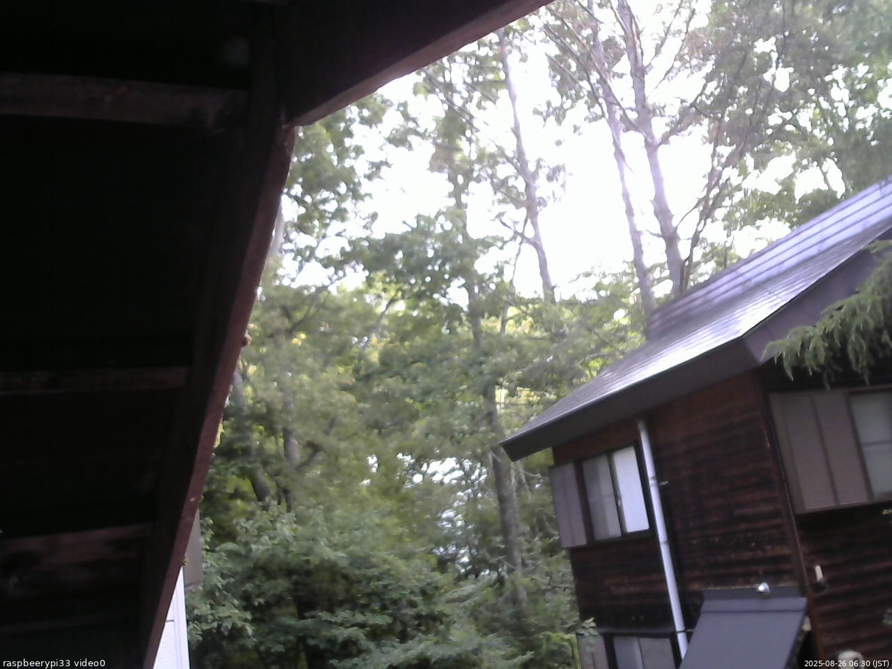 長野県菅平高原 ゆたか山荘 北側 2025/08/26 06:30