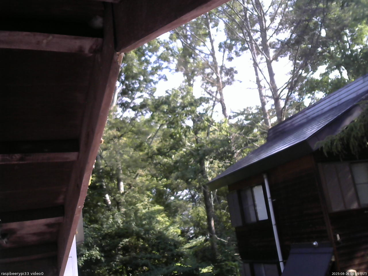 長野県菅平高原 ゆたか山荘 北側 2025/08/26 08:15