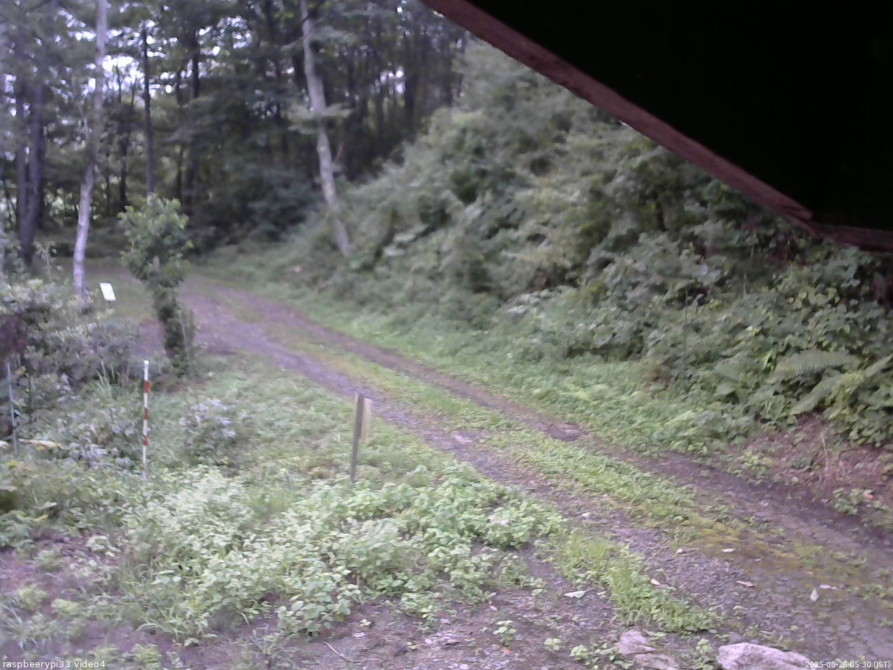 長野県菅平高原 ゆたか山荘 東側(坂下) 2025/08/26 05:30