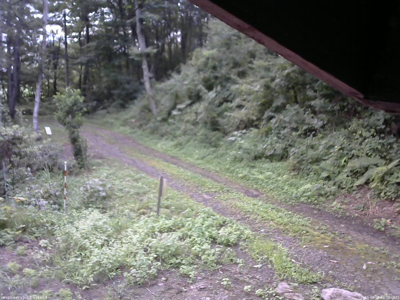 長野県菅平高原 ゆたか山荘 東側(坂下) 2025/08/26 06:00