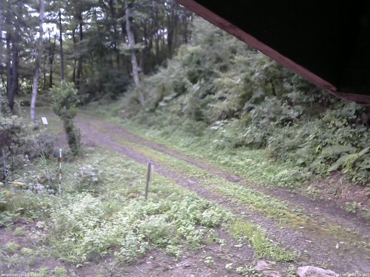 長野県菅平高原 ゆたか山荘 東側(坂下) 2025/08/26 06:15